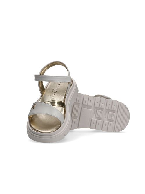  TOMMY HILFIGER | T4A2 34301 0326X048